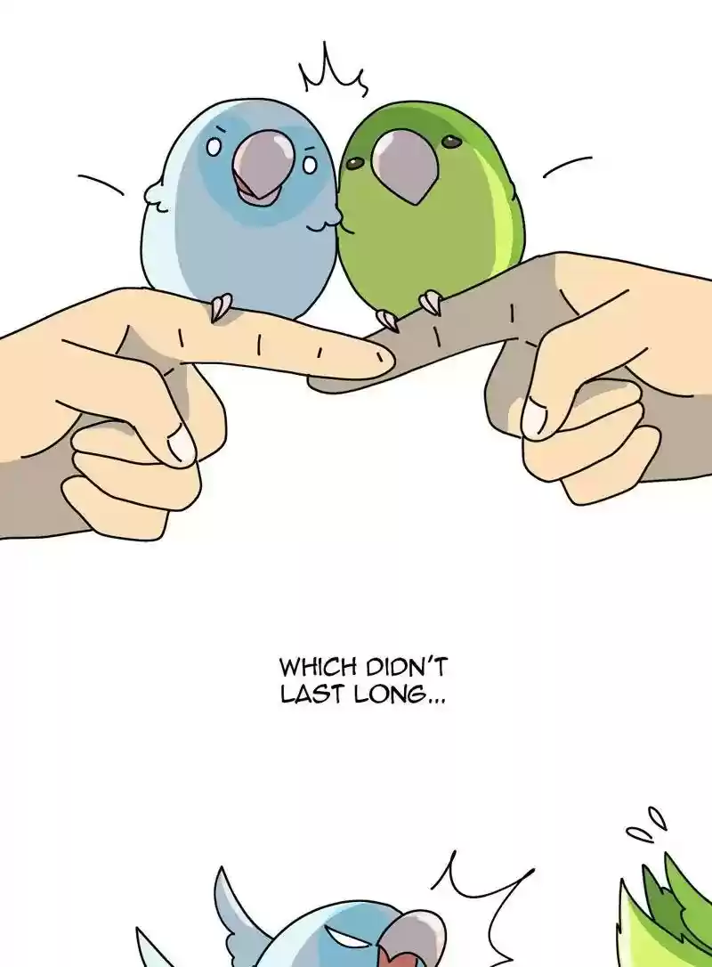 A Budgie's Life Chapter 317: Ep.316: