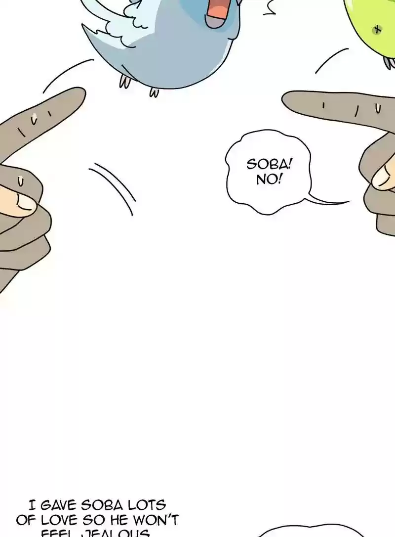 A Budgie's Life Chapter 317: Ep.316: