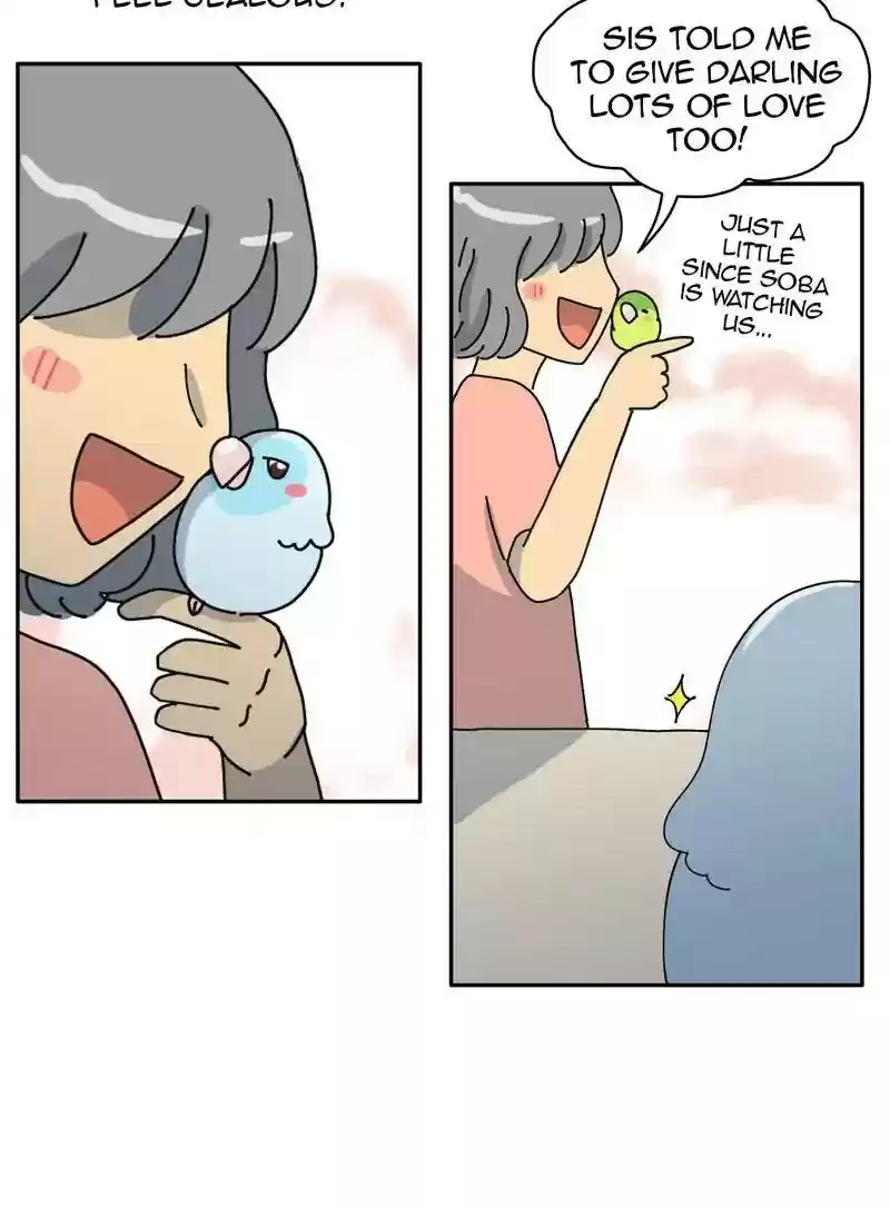 A Budgie's Life Chapter 317: Ep.316: