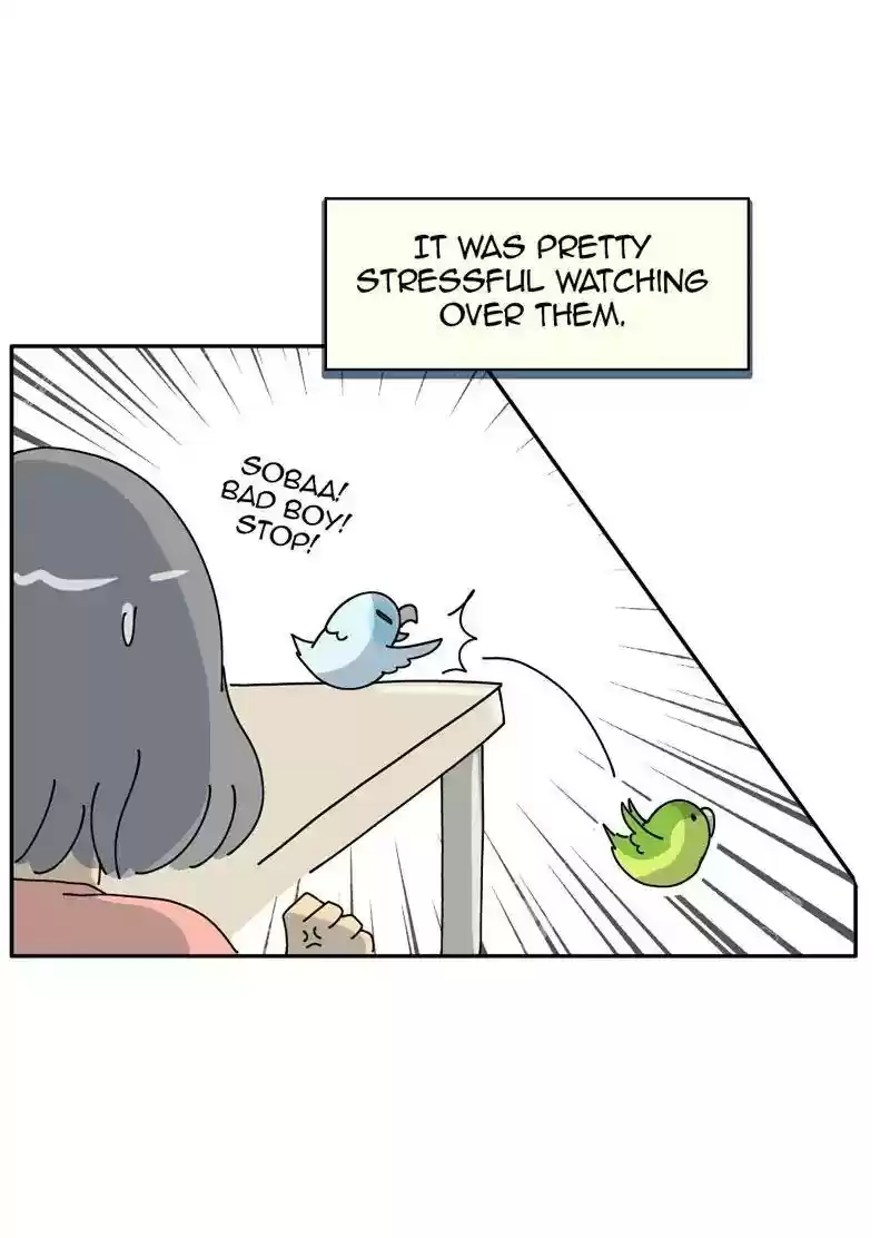 A Budgie's Life Chapter 317: Ep.316: