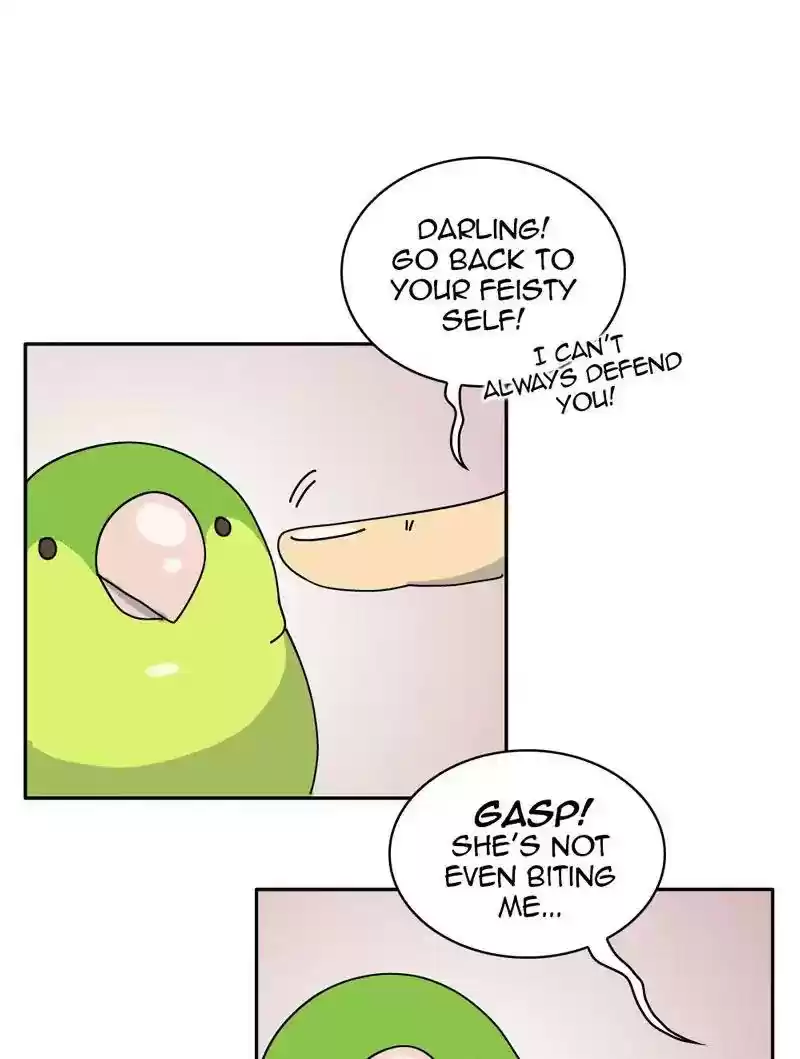 A Budgie's Life Chapter 317: Ep.316: