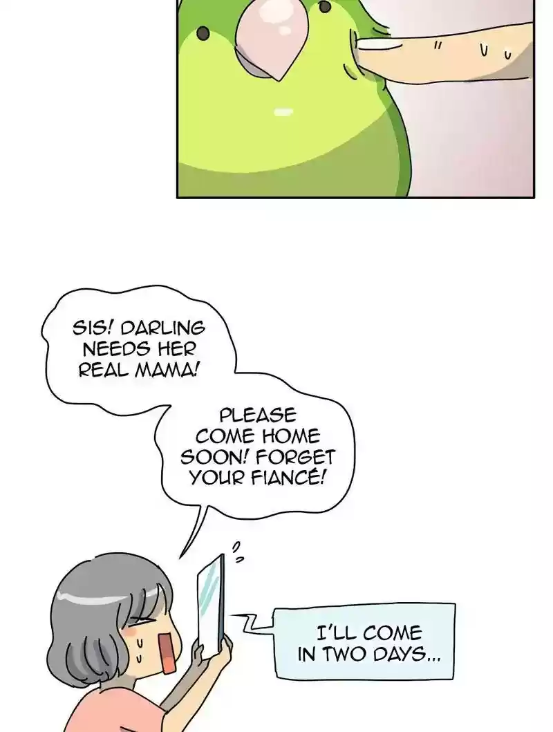 A Budgie's Life Chapter 317: Ep.316: