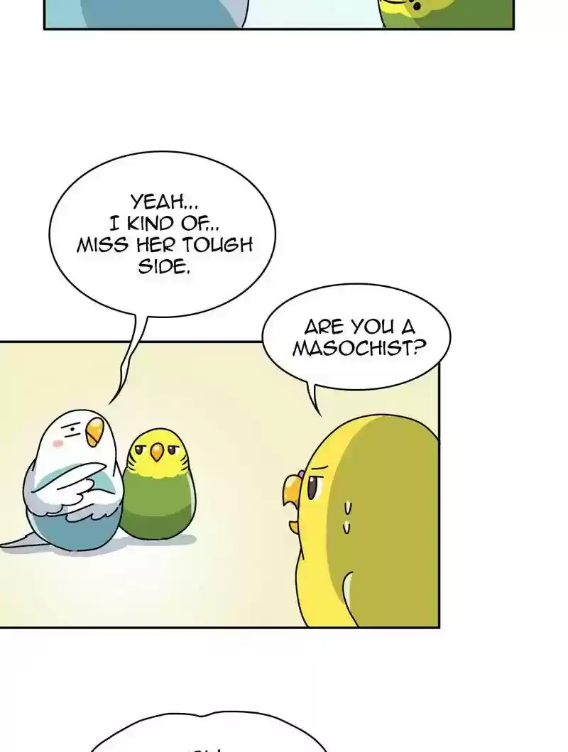 A Budgie's Life Chapter 317: Ep.316: