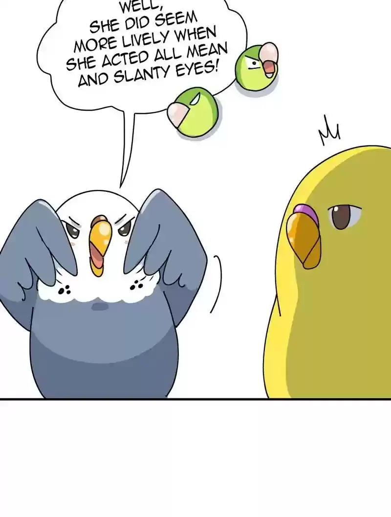 A Budgie's Life Chapter 317: Ep.316: