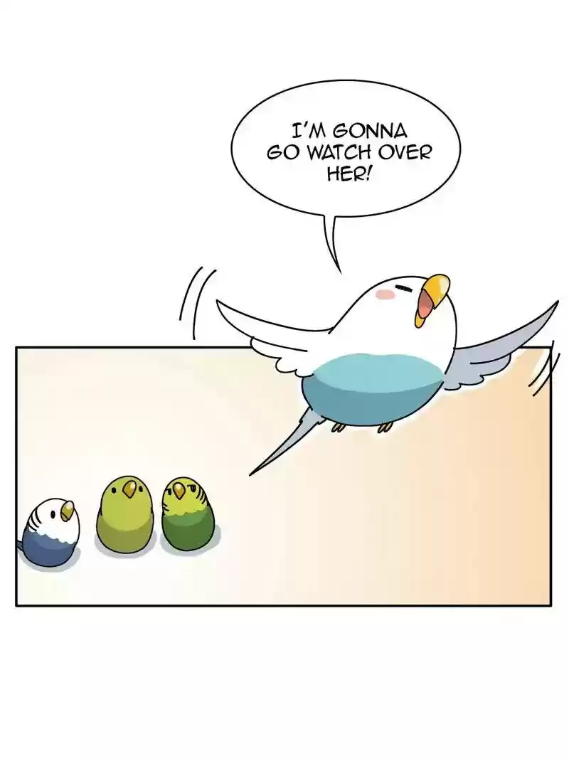 A Budgie's Life Chapter 317: Ep.316: