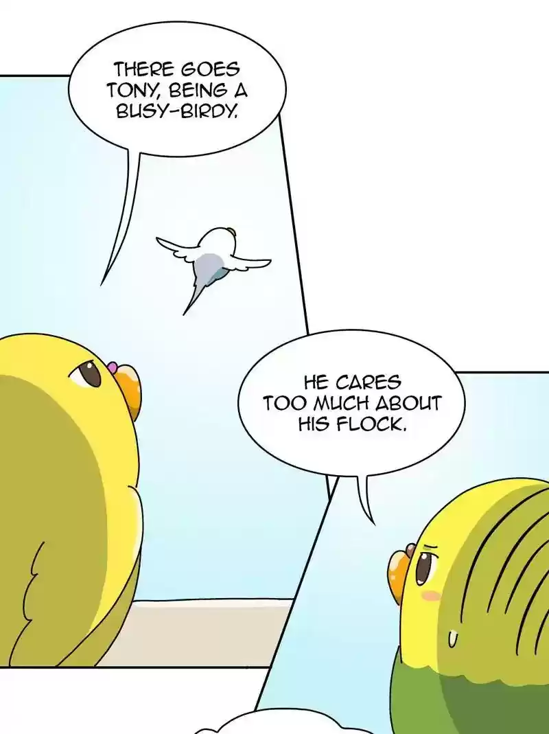 A Budgie's Life Chapter 317: Ep.316: