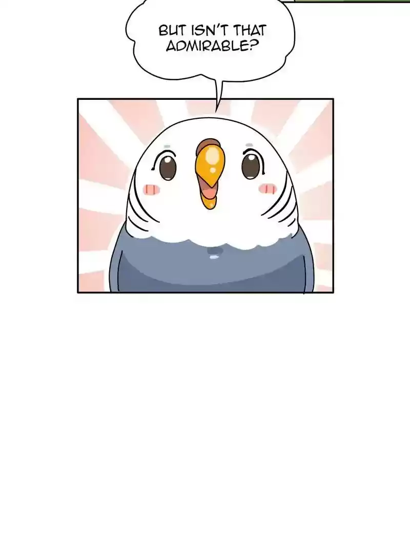 A Budgie's Life Chapter 317: Ep.316: