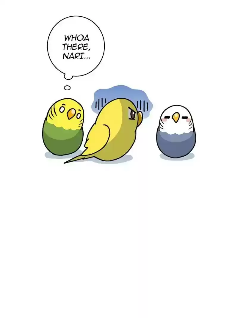 A Budgie's Life Chapter 317: Ep.316:
