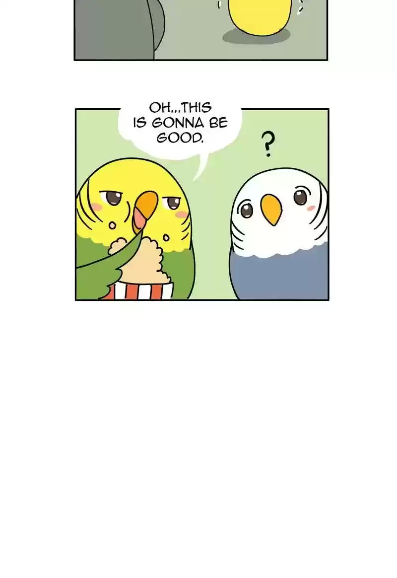 A Budgie's Life Chapter 317: Ep.316: