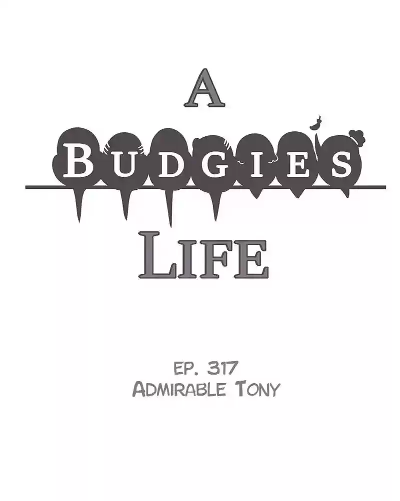 A Budgie's Life Chapter 318: Ep.317: