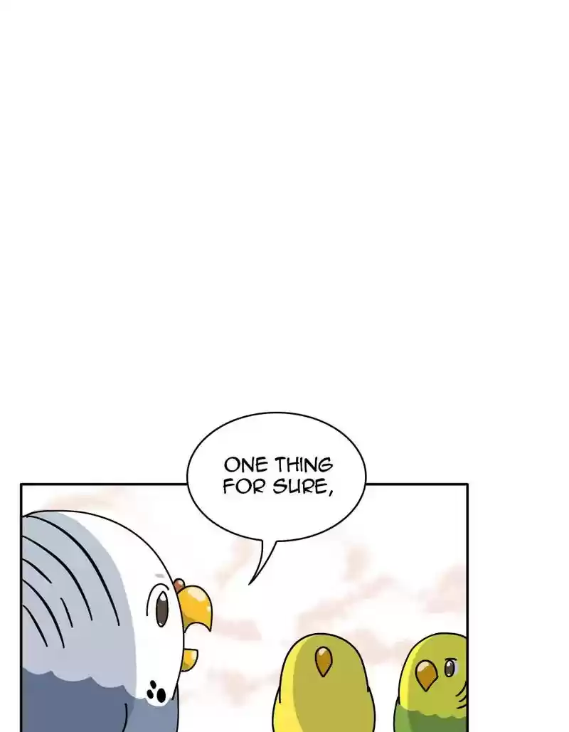 A Budgie's Life Chapter 318: Ep.317: