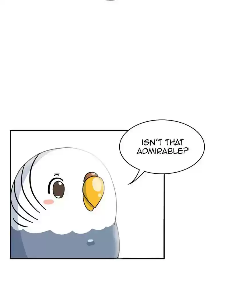 A Budgie's Life Chapter 318: Ep.317: