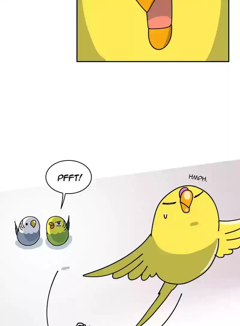 A Budgie's Life Chapter 318: Ep.317: