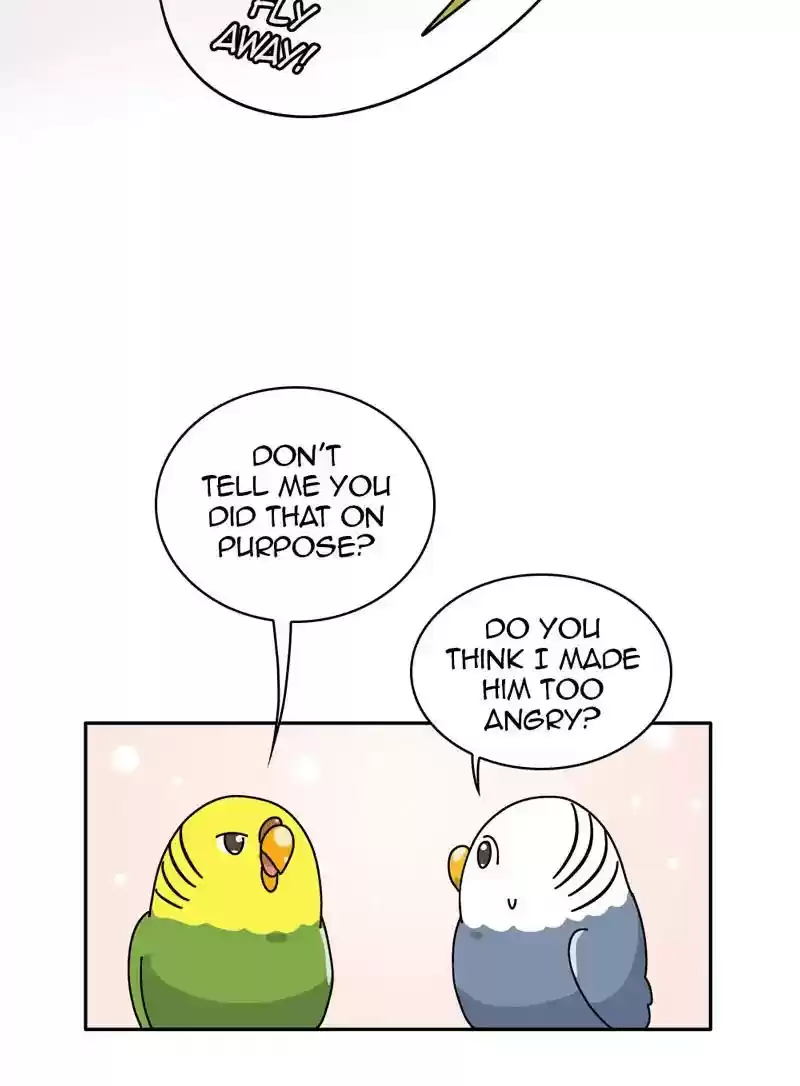 A Budgie's Life Chapter 318: Ep.317: