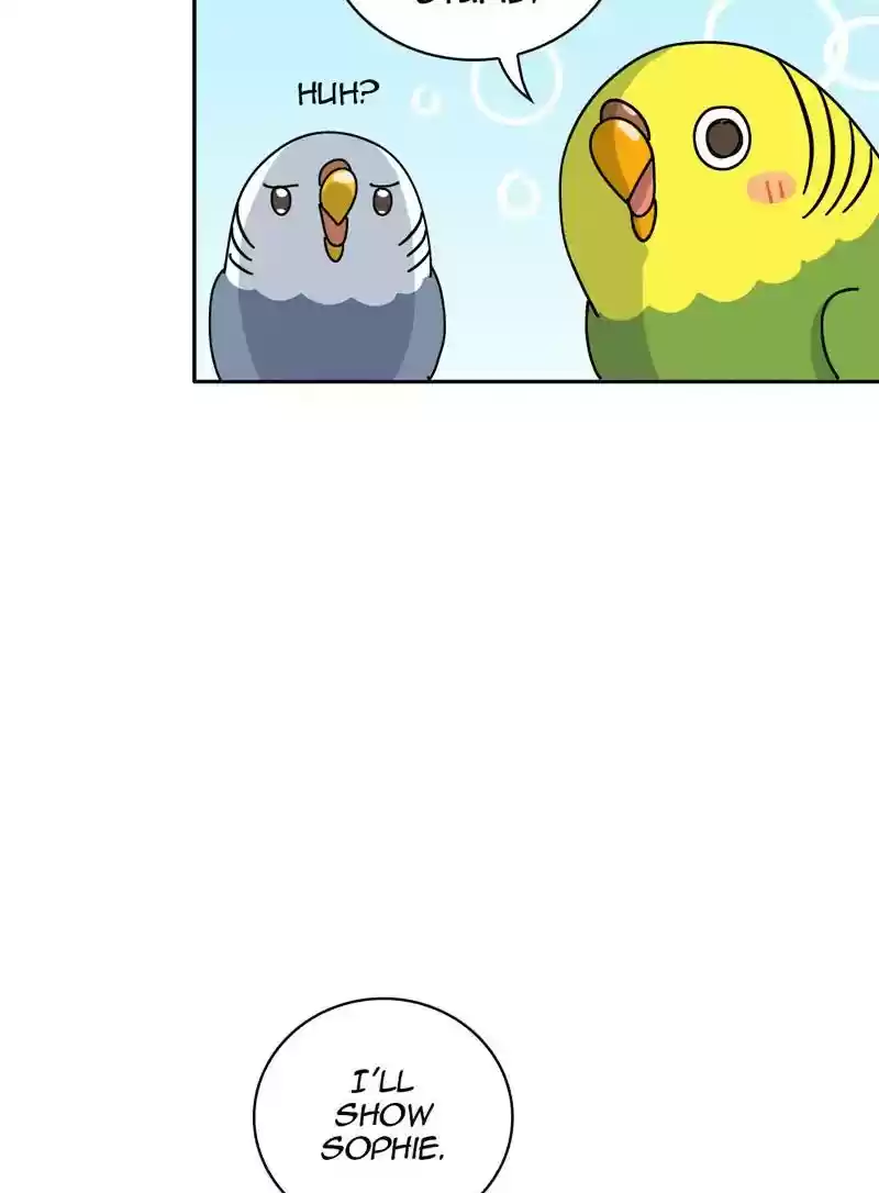 A Budgie's Life Chapter 318: Ep.317: