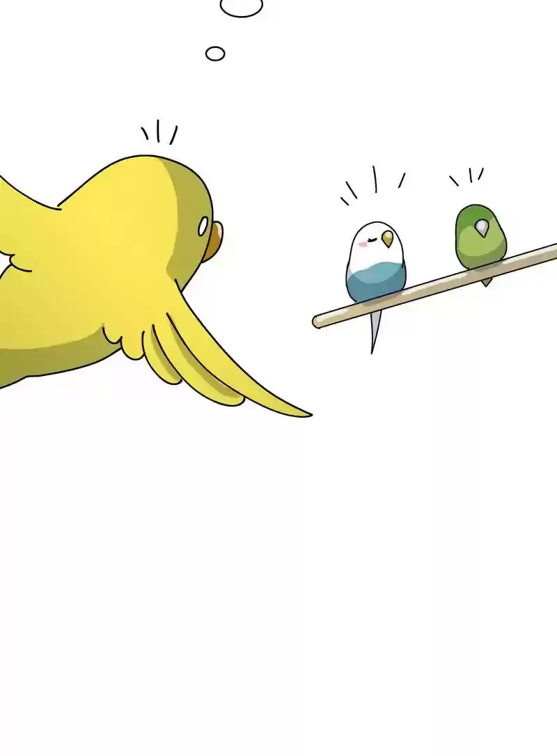 A Budgie's Life Chapter 318: Ep.317: