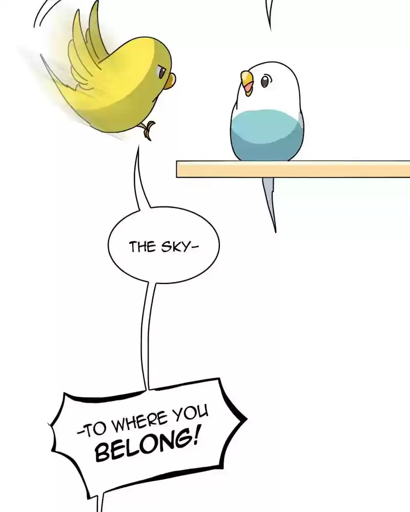 A Budgie's Life Chapter 318: Ep.317: