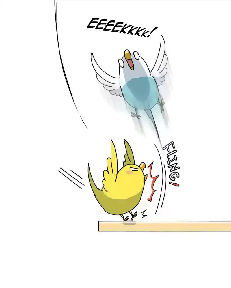 A Budgie's Life Chapter 318: Ep.317: