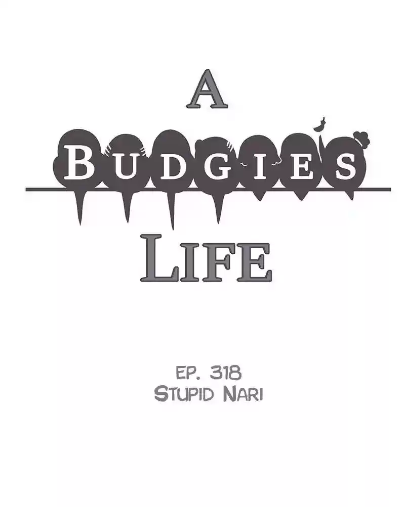 A Budgie's Life Chapter 319: Ep.318: