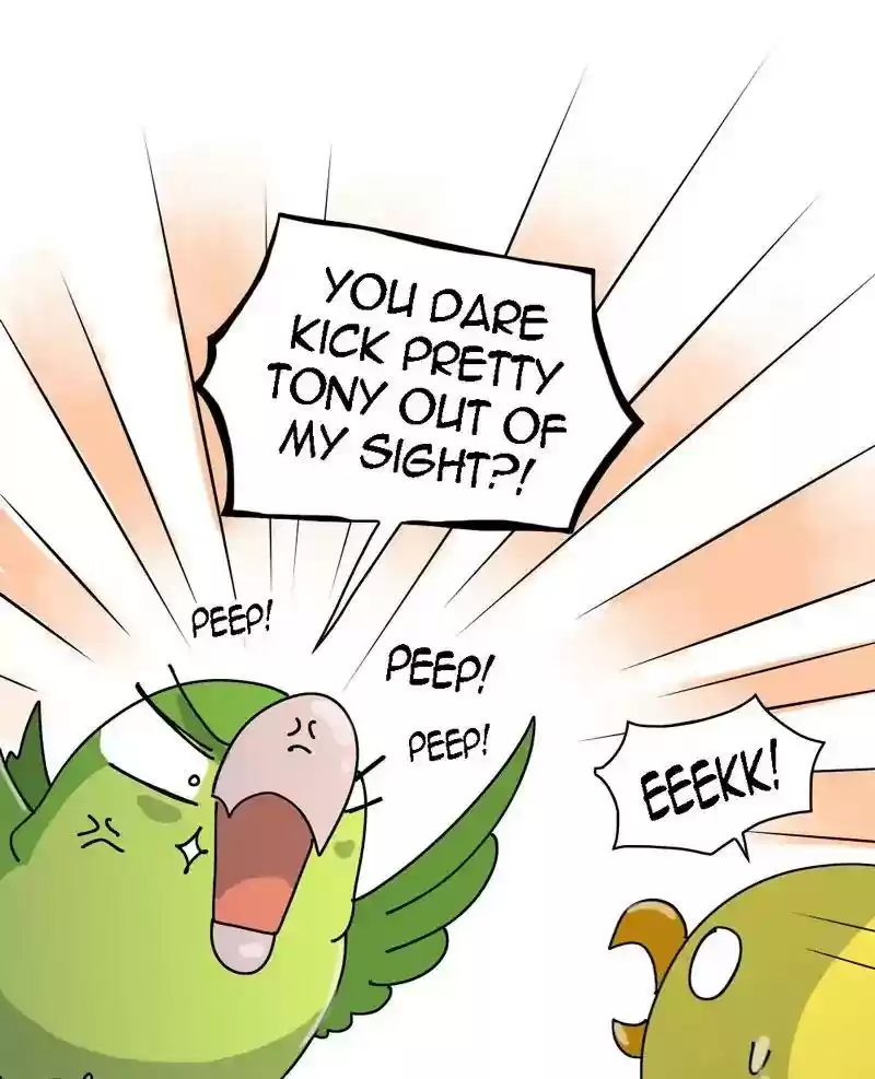 A Budgie's Life Chapter 319: Ep.318: