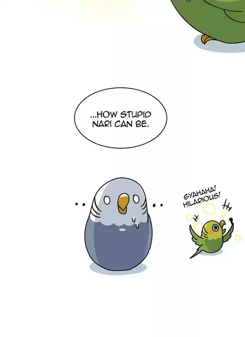 A Budgie's Life Chapter 319: Ep.318: