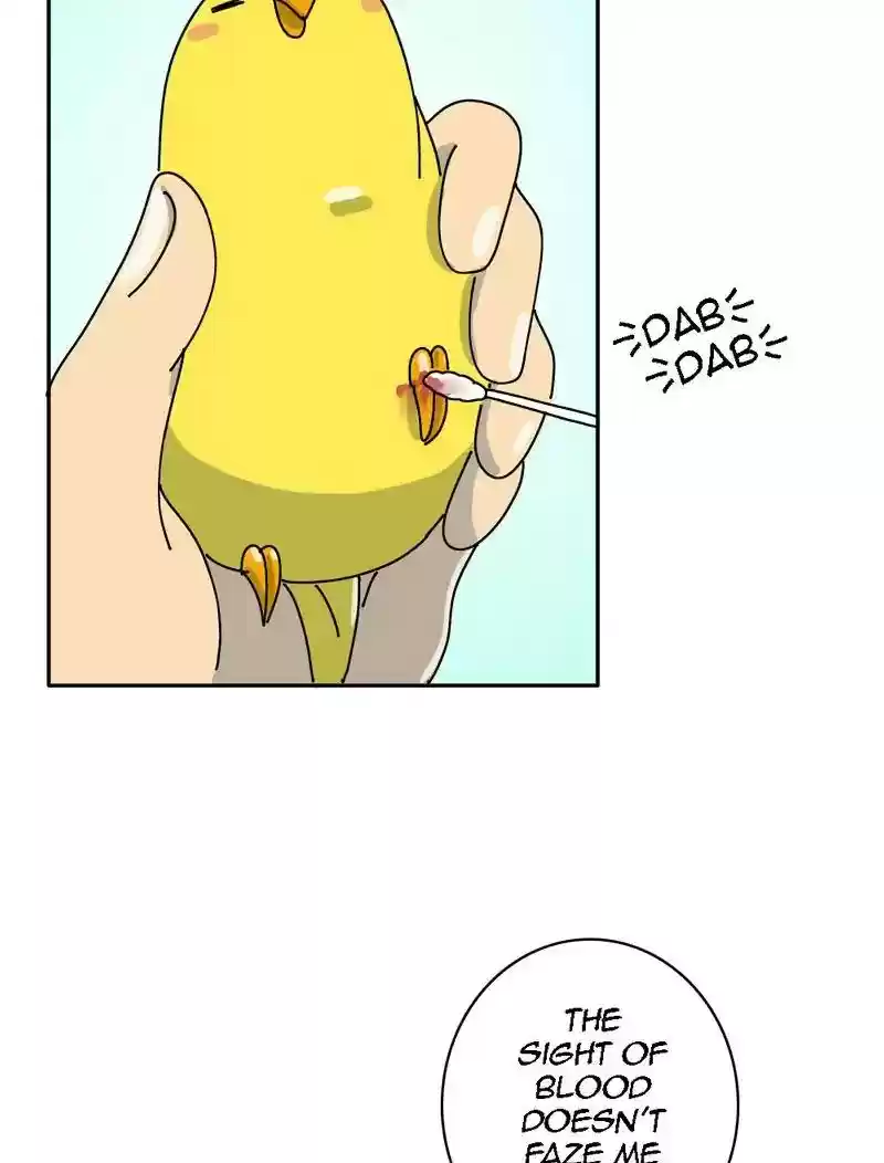A Budgie's Life Chapter 319: Ep.318: