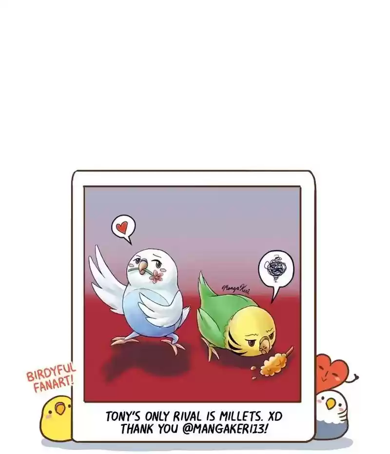 A Budgie's Life Chapter 319: Ep.318: