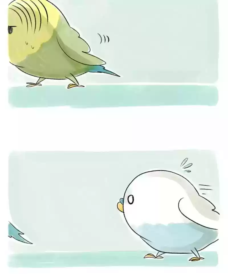 A Budgie's Life Chapter 32: Ep.32: