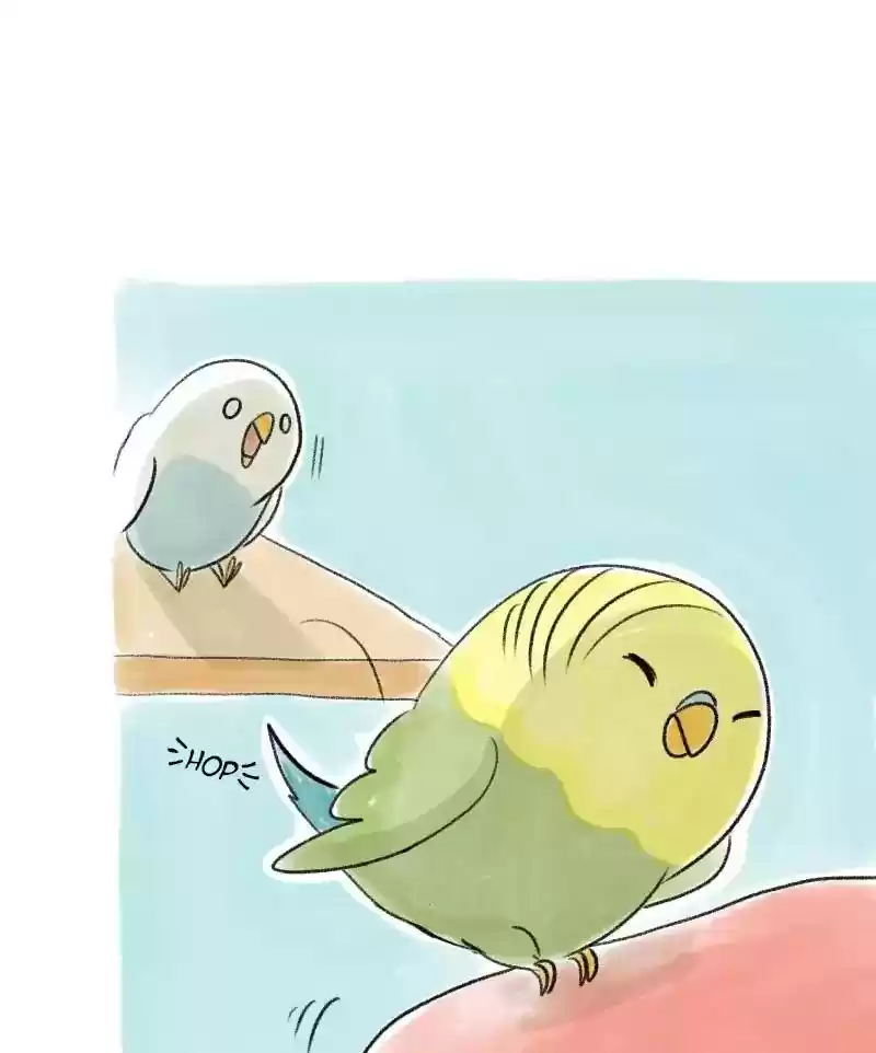 A Budgie's Life Chapter 32: Ep.32: