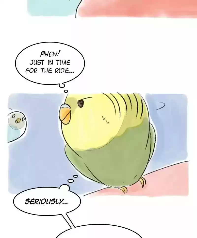 A Budgie's Life Chapter 32: Ep.32: