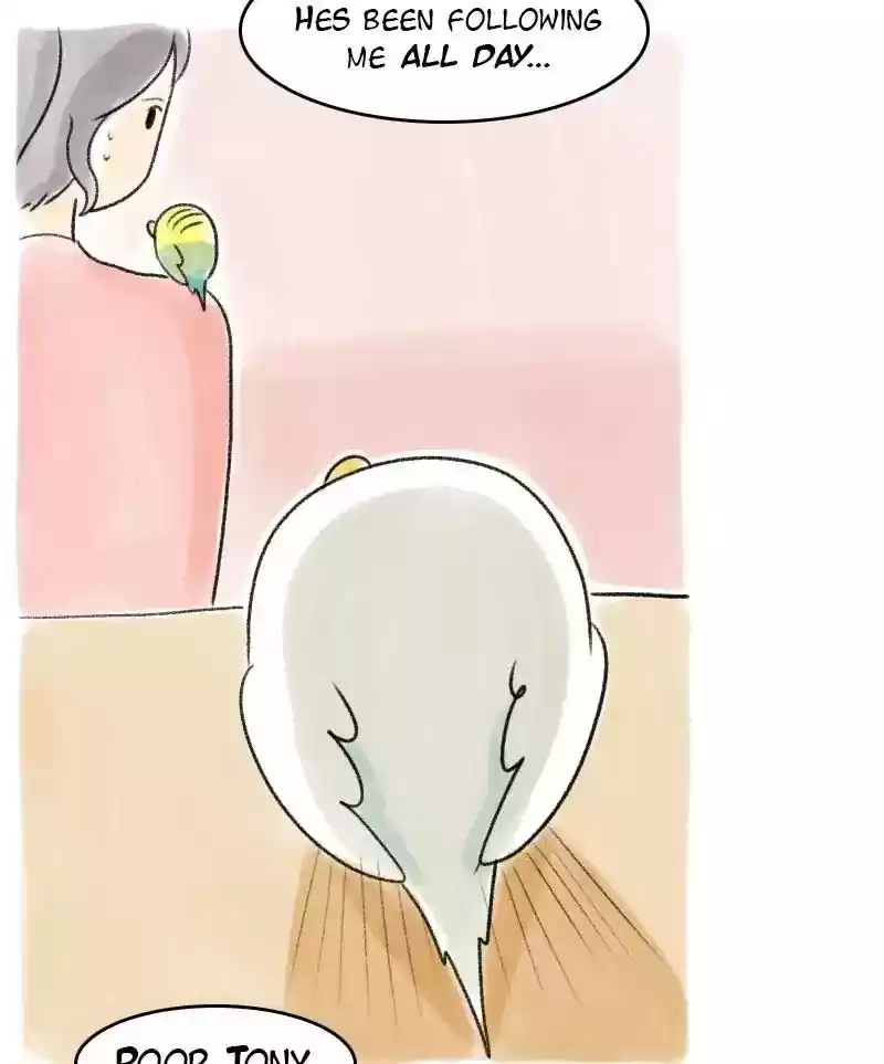 A Budgie's Life Chapter 32: Ep.32: