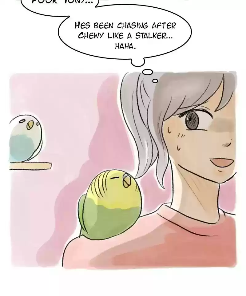 A Budgie's Life Chapter 32: Ep.32: