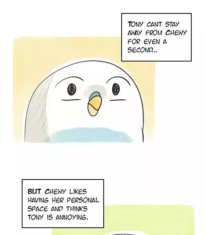 A Budgie's Life Chapter 32: Ep.32: