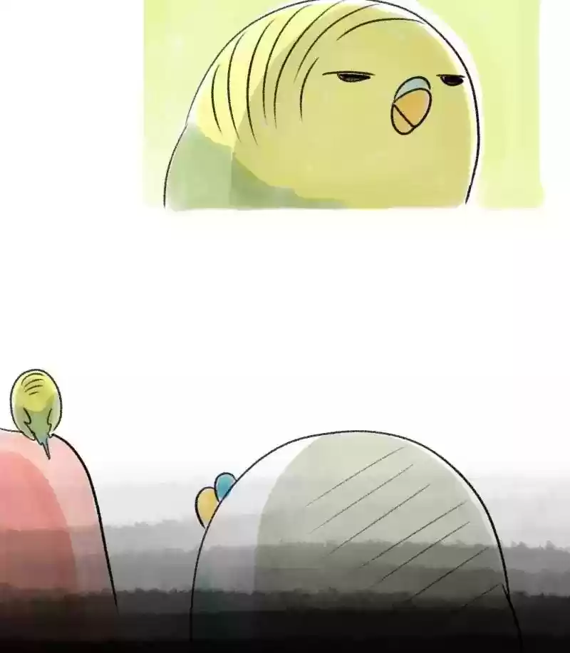 A Budgie's Life Chapter 32: Ep.32: