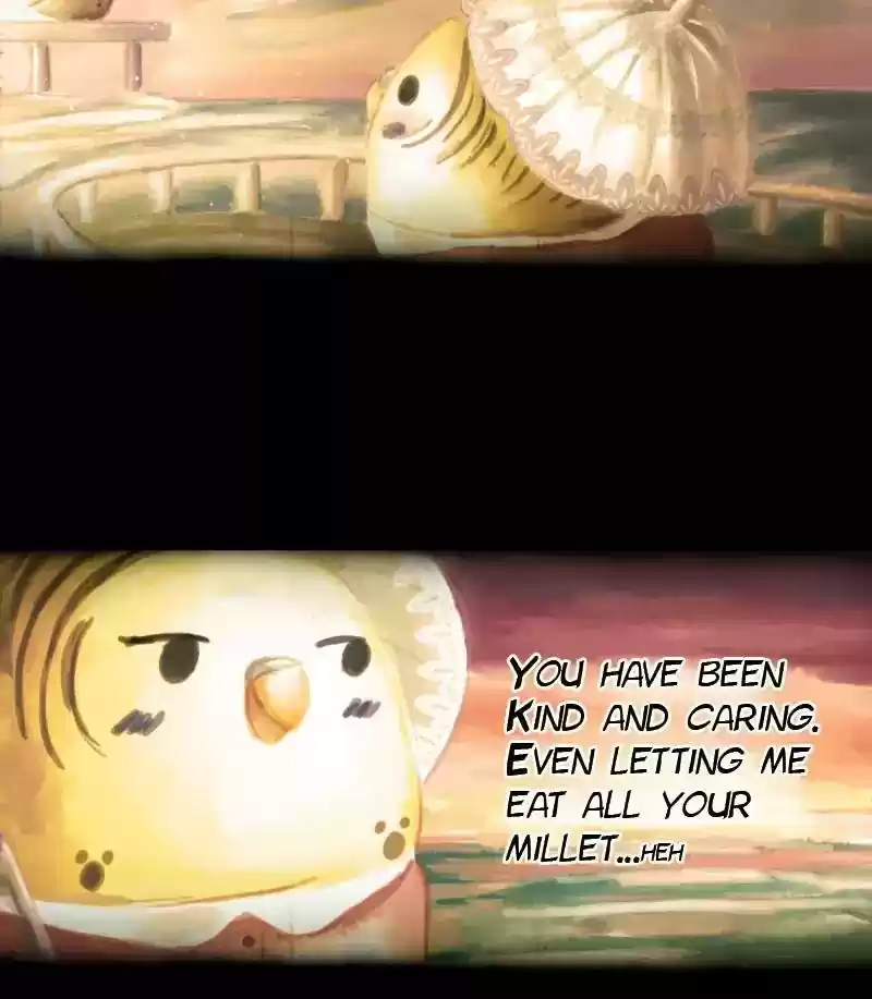 A Budgie's Life Chapter 32: Ep.32: