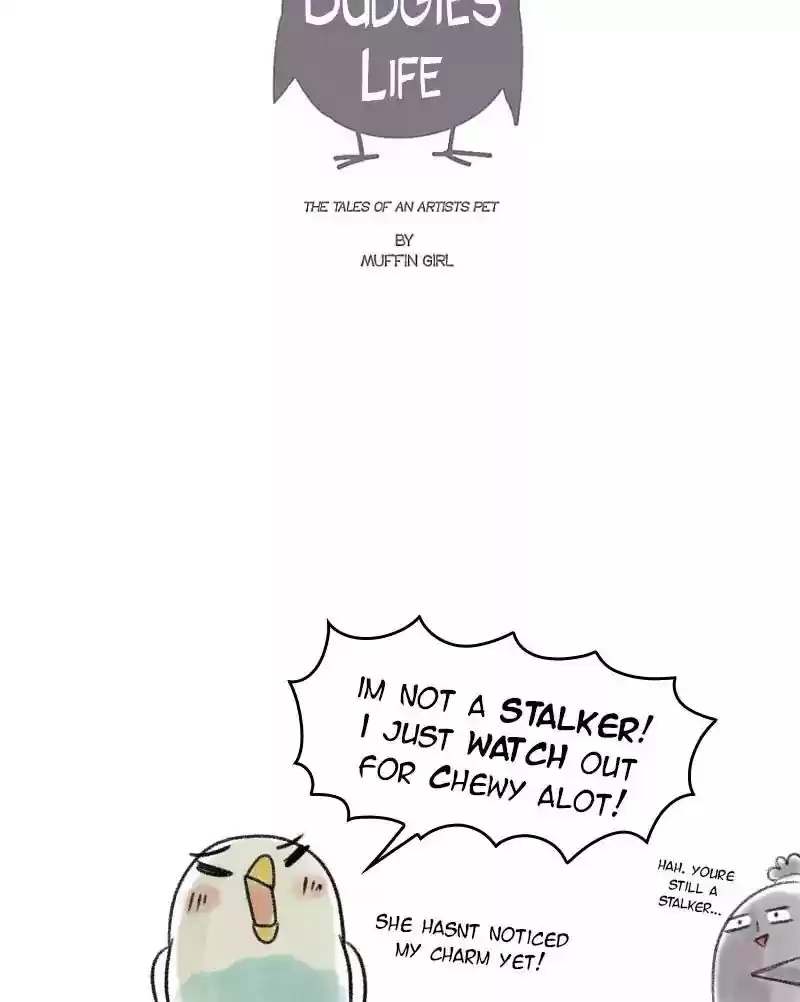 A Budgie's Life Chapter 32: Ep.32: