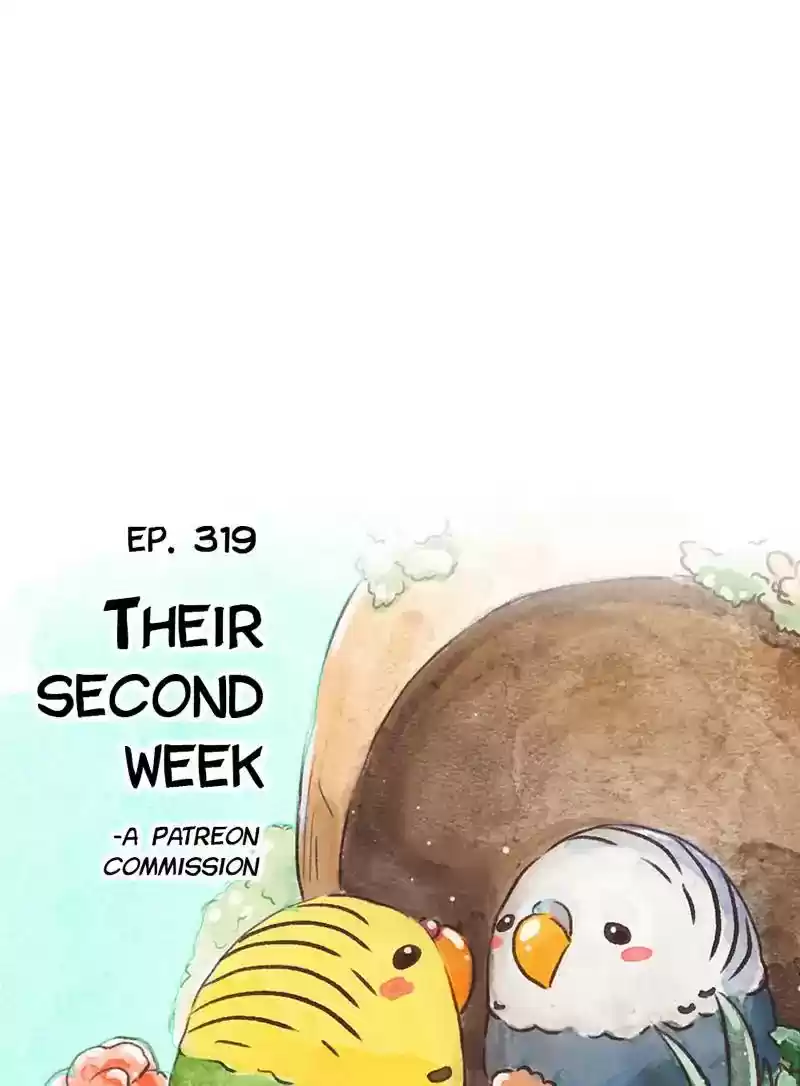 A Budgie's Life Chapter 320: Ep.319: