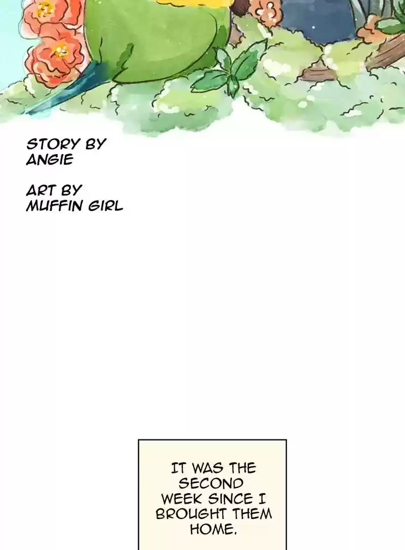 A Budgie's Life Chapter 320: Ep.319: