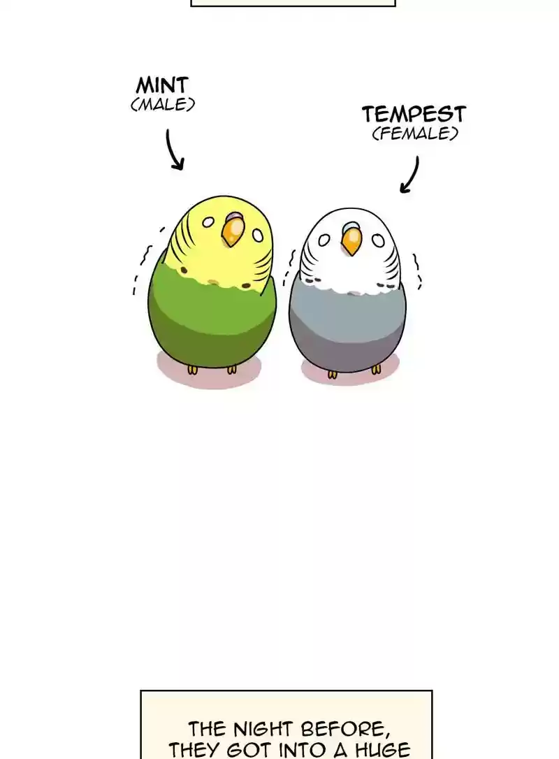 A Budgie's Life Chapter 320: Ep.319: