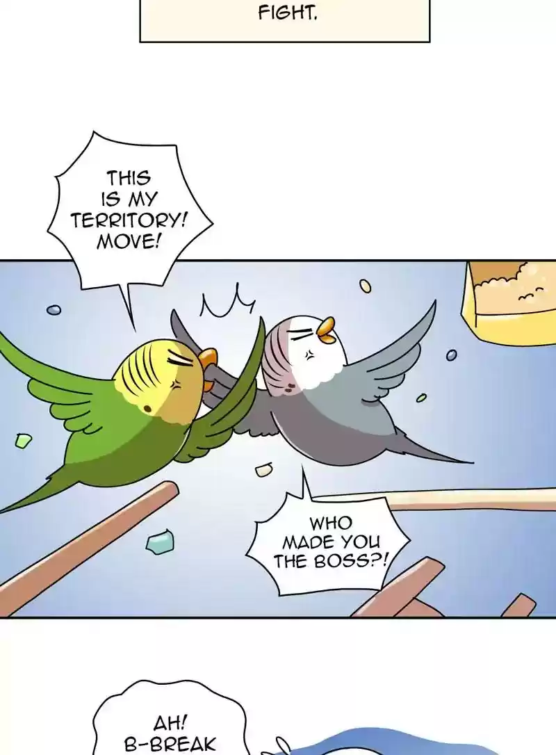 A Budgie's Life Chapter 320: Ep.319: