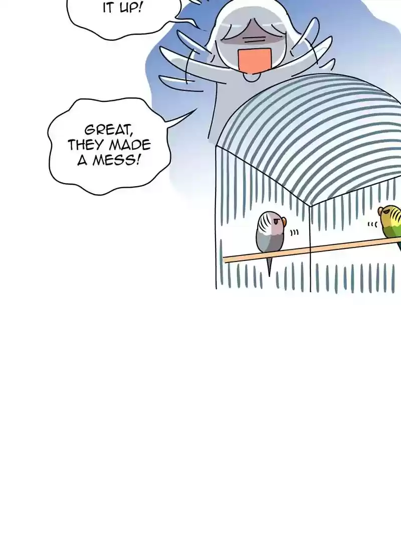 A Budgie's Life Chapter 320: Ep.319: