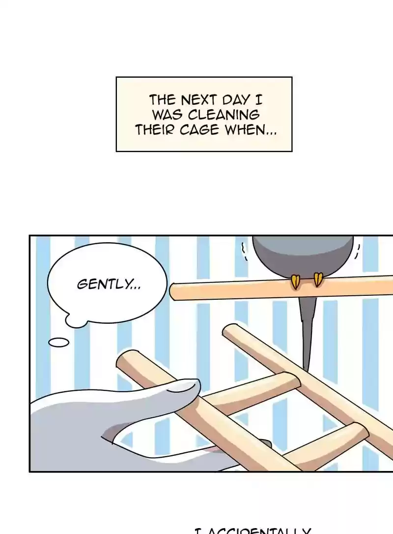 A Budgie's Life Chapter 320: Ep.319:
