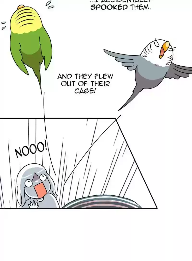 A Budgie's Life Chapter 320: Ep.319: