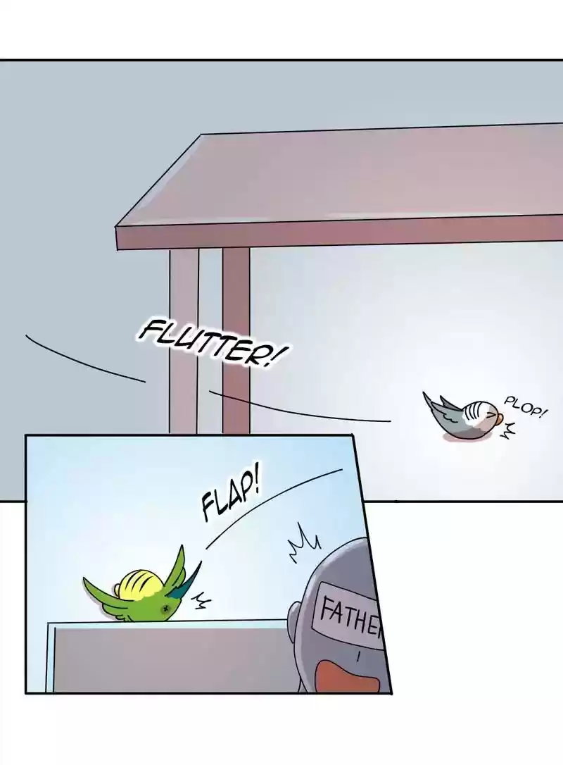 A Budgie's Life Chapter 320: Ep.319:
