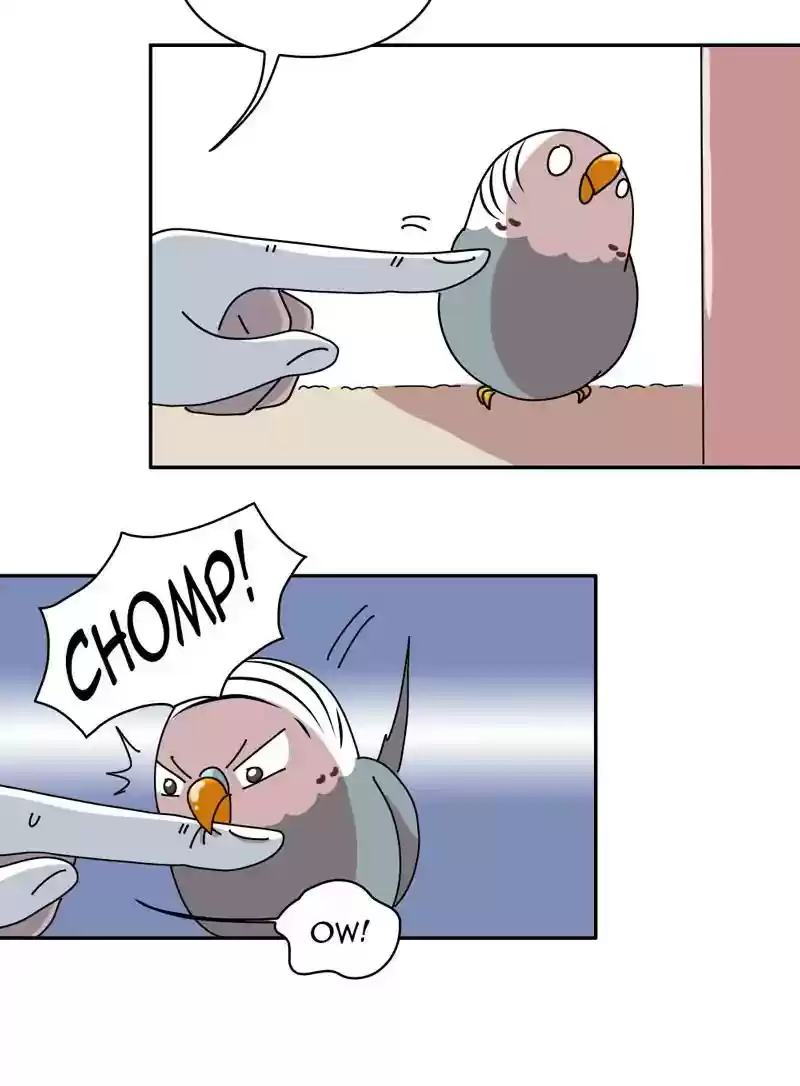 A Budgie's Life Chapter 320: Ep.319: