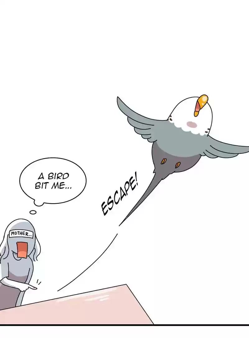 A Budgie's Life Chapter 320: Ep.319: