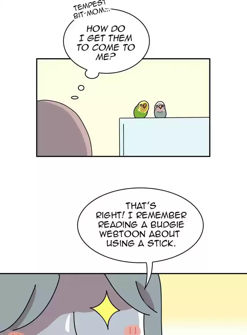 A Budgie's Life Chapter 320: Ep.319: