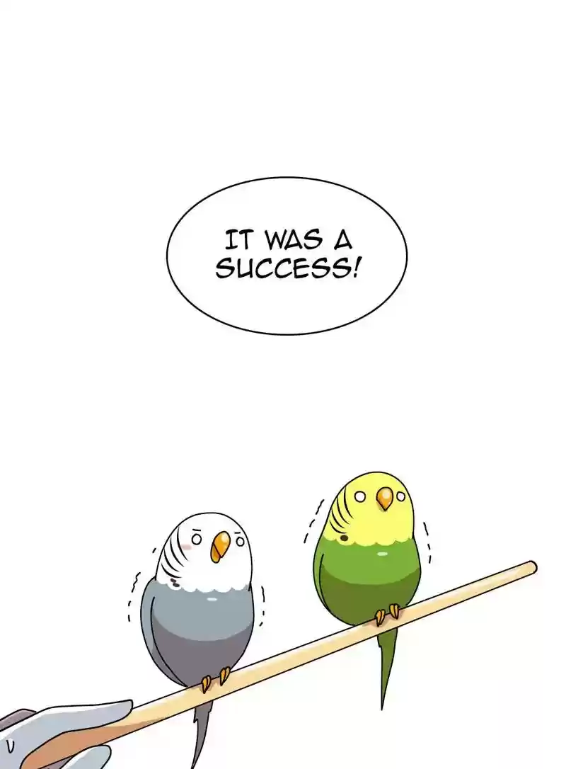 A Budgie's Life Chapter 320: Ep.319: