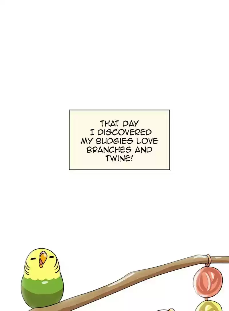 A Budgie's Life Chapter 320: Ep.319: