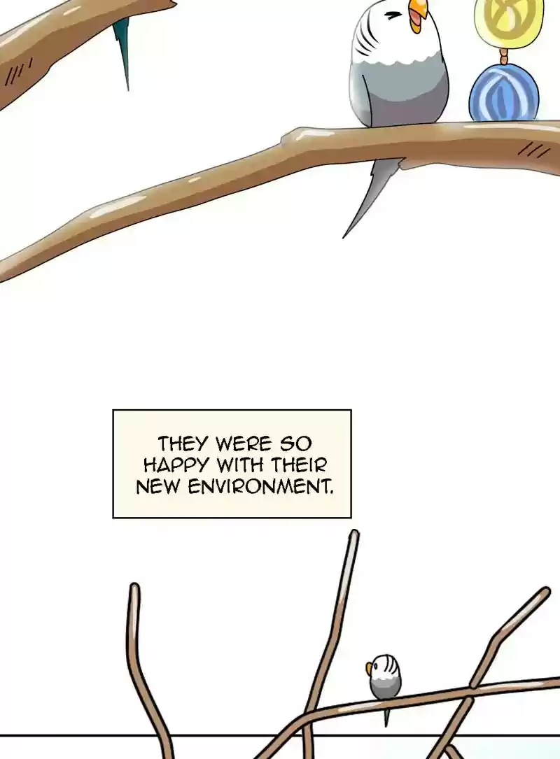 A Budgie's Life Chapter 320: Ep.319: